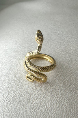 Aτσάλινο δαχτυλίδι Snake Big One size