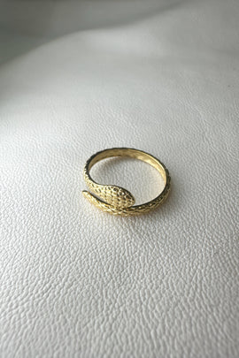 Aτσάλινο δαχτυλίδι Snake Small One size