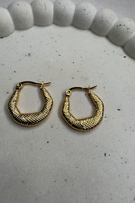 Ατσάλινα σκουλαρίκια κρίκοι χρυσοί Tiger