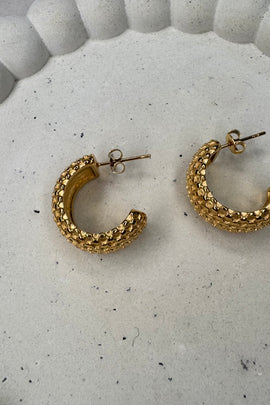 Ατσάλινα σκουλαρίκια καρφωτά χρυσά Chloe