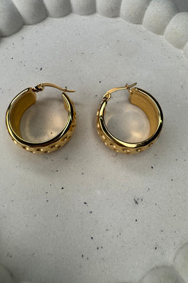 Ατσάλινα σκουλαρίκια καρφωτά χρυσά Rea